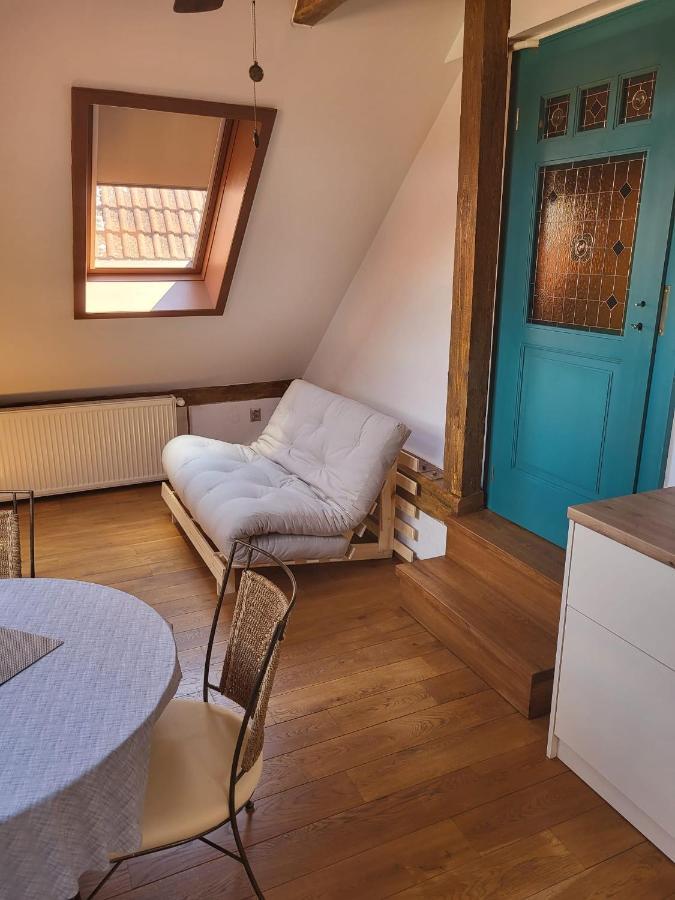 Roof Apartment Ztracena Olomouc Ngoại thất bức ảnh