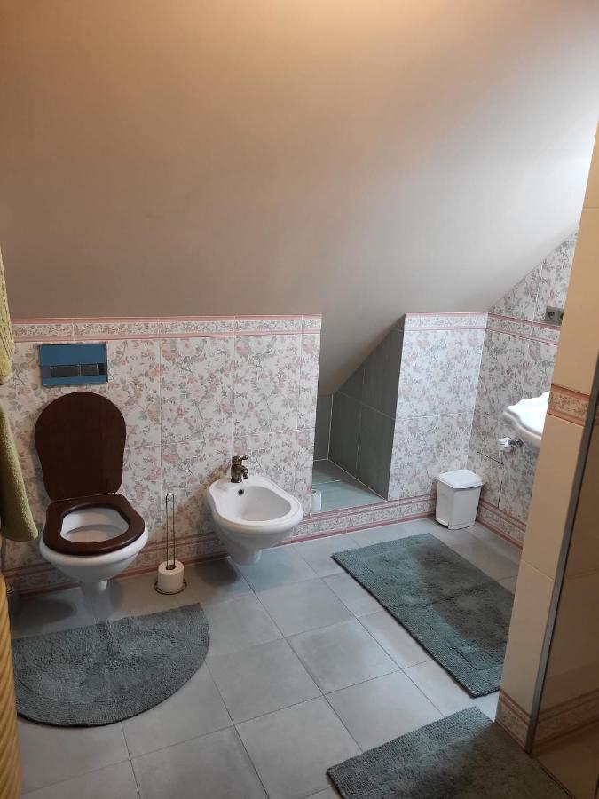 Roof Apartment Ztracena Olomouc Ngoại thất bức ảnh